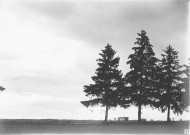 Jessains (Aube), usine de Beaulieu. - Coucher de soleil sur les sapins.