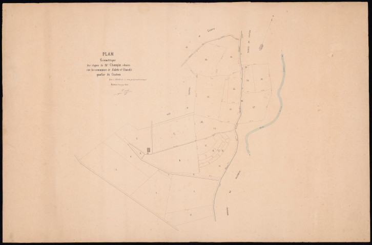 Vignoble du château.