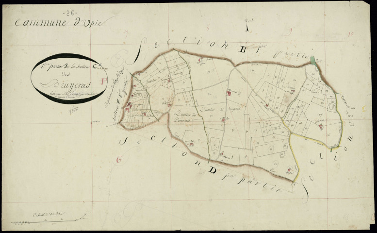 Section C1, Bruyeras (les).