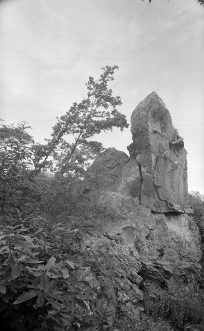 Saint-Barthélemy-de-Vals.- Cromlech des roches qui dansent.