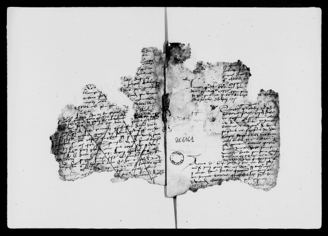 6 février 1503-30 janvier 1505