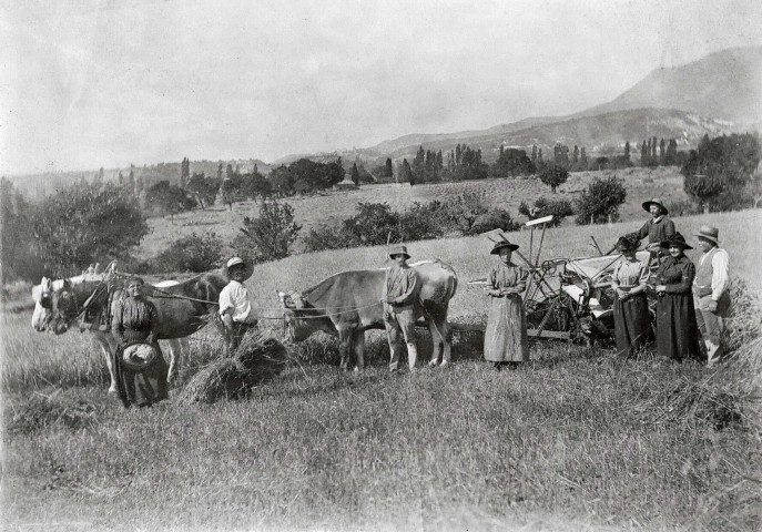 Vaunaveys-la-Rochette.- Moisson à la Rochette.