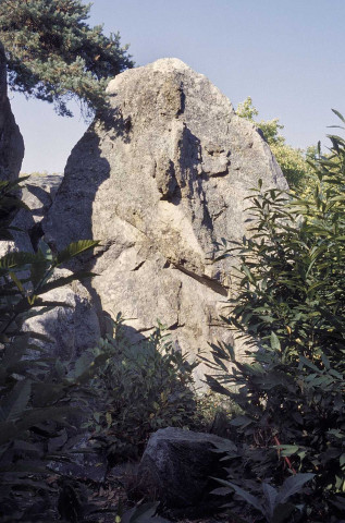 Saint-Barthélemy-de-Vals. - Les roches qui dansent.