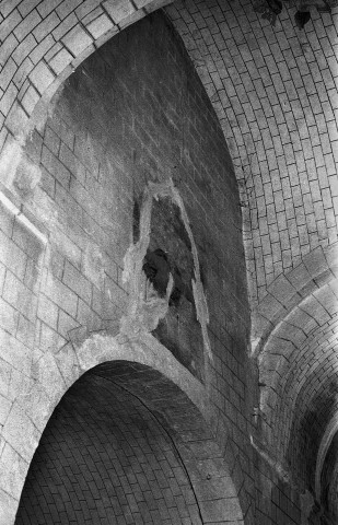 Cléon-d'Andran. - Les fresques au dessus du chœur de l'église Saint-Sauveur.