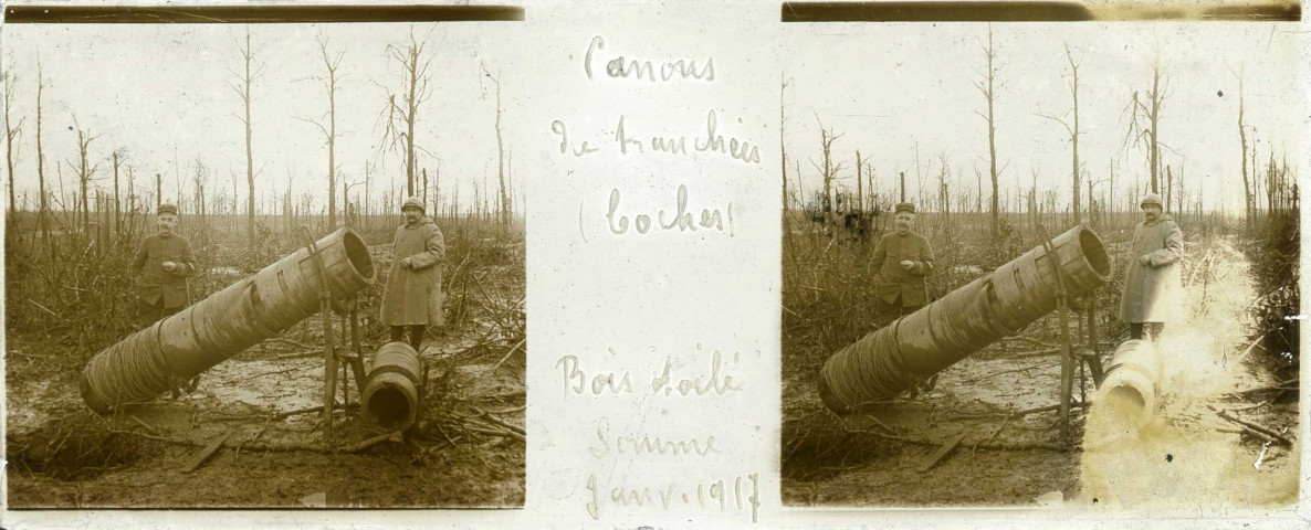 Bois étoilé. - Canons de tranchée allemands.