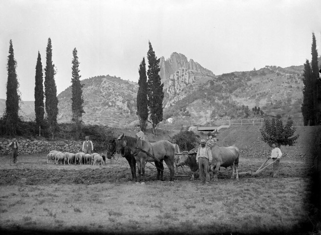 Buis-les-Baronnies.- Agriculteurs.