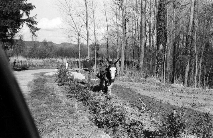 Chavannes.- Labours.