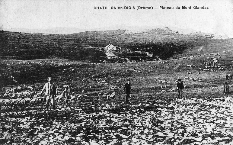 Châtillon-en-Diois.- Bergers gardant des moutons près du refuge du Glandaz.