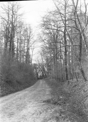 Montbard (Côte-d'Or). - Le chemin de Corcelotte.