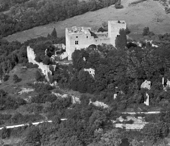 Vue aérienne du château.