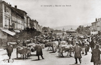 Romans-sur-Isère.- Le marché aux bœufs, place Jean Jaurès.