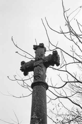 Chavannes. - Croix de chemin sur le domaine du château du Mouchet.