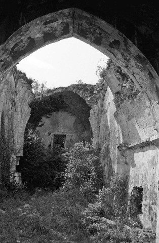 La Bâtie-Rolland. - La nef effondrée de la chapelle Saint-Roch.