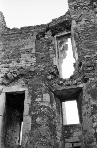 La Baume-de-Transit.- Les ruines du château féodal.