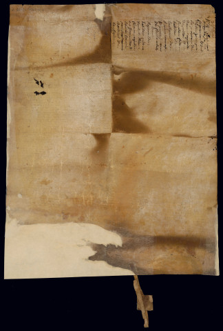 AA 3. Hommages des habitants et procurations du châtelain et sa femme données à deux écuyers.