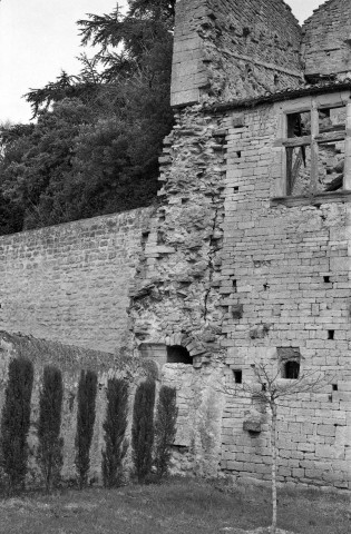 Etoile-sur-Rhône.- Vestiges du château des Poitiers.