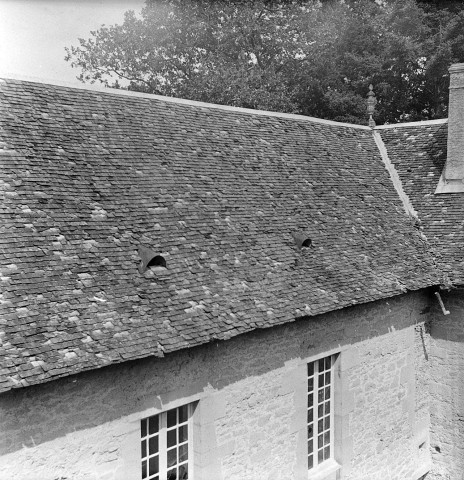 Triors. - La toiture en tuiles écaille du château.