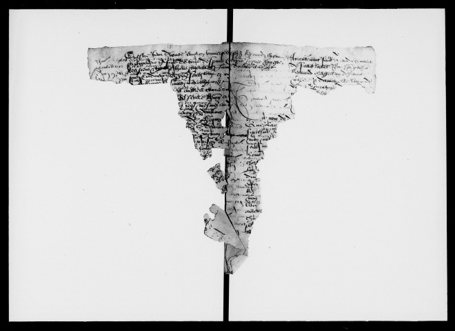 Notes étendues (1565).