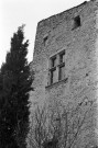 Le Pègue. - Dégradations de façade du château.