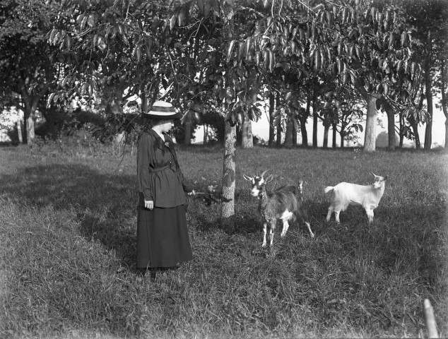 Charols, château de Salettes. - Marthe de Courtois et des chèvres.