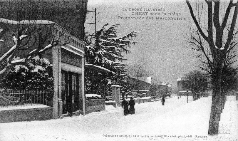 Promenade cours des Marronniers sous la neige.