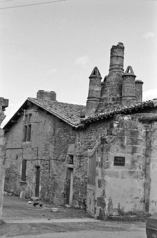 Châteauneuf-sur-Isère.- Cheminées du XVIe siècle, quartier des Bayles.