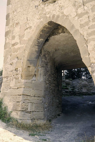 Rousset-les-Vignes.- Le château.