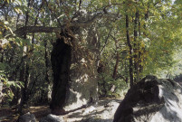 Saint-Barthélemy-de-Vals. - Les roches qui dansent.