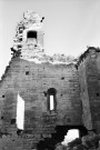 La Baume-de-Transit.- Les ruines du château féodal.