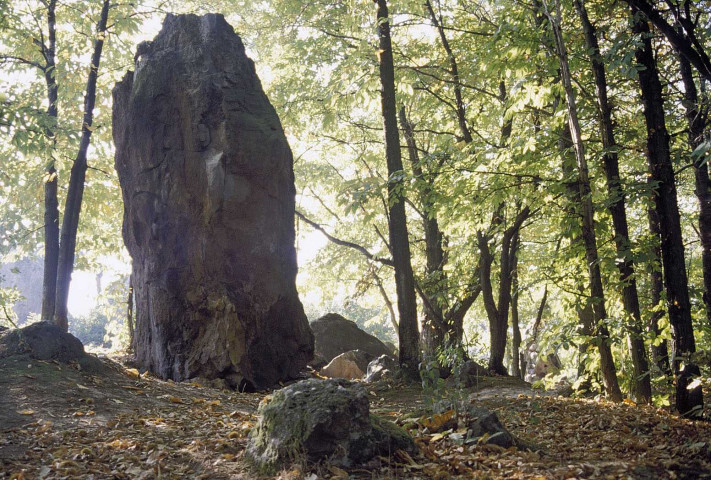 Saint-Barthélémy-de-Vals. Les roches qui dansent.