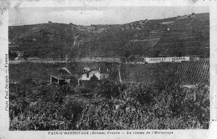 Tain-l'Hermitage.- Les coteaux de vignes de Jaboulet et Isnard.