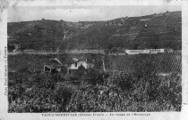 Tain-l'Hermitage.- Les coteaux de vignes de Jaboulet et Isnard.