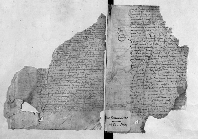 26 février 1491-11 mai 1501