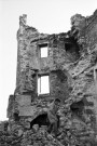 La Baume-de-Transit.- Les ruines du château féodal.