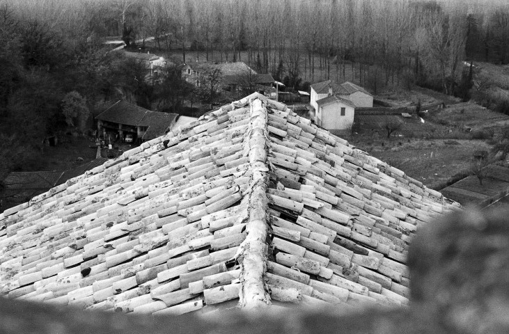 Chantemerle-lès-Blés.- Faîtage de la nef de l'église Notre-Dame.