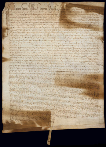 AA 5. Reconnaissance des libertés.