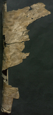 janvier-novembre 1651