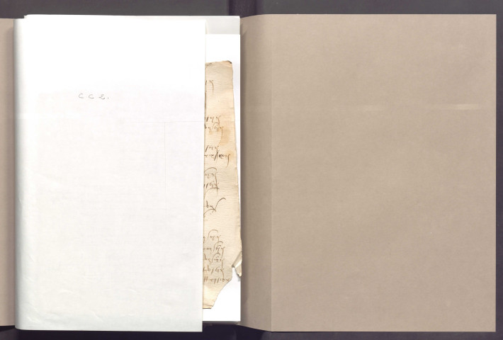 CC 2. Comptes consulaires et tailles.