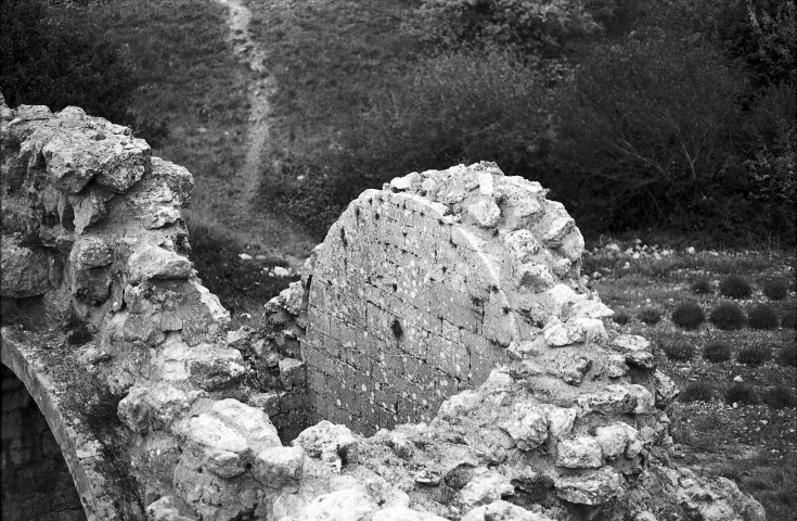 Aleyrac. - Le transept nord du prieuré Notre-Dame-la-Brune, ruiné en 1385.