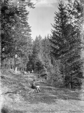 Le Vercors.- Forestiers dans la forêt.