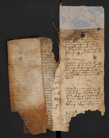 Notes brèves (1458-1466).