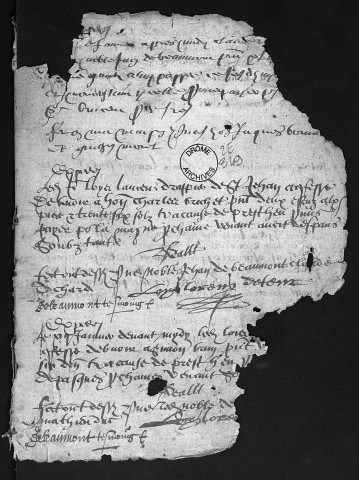 Notes brèves (12 janvier 1595-4 juillet 1576).