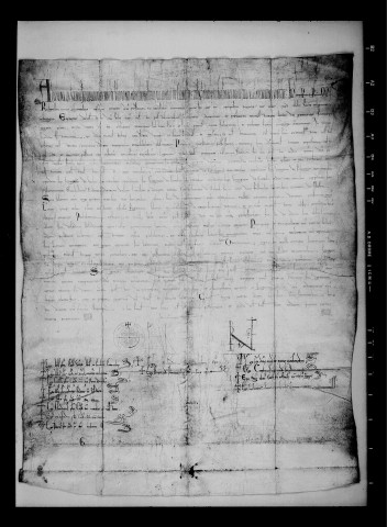 Bulle du pape Alexandre III.