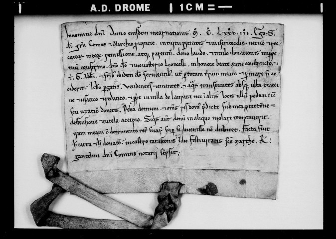 Confirmation d'exemption de péage par Sanche d'Aragon, comte de Provence.