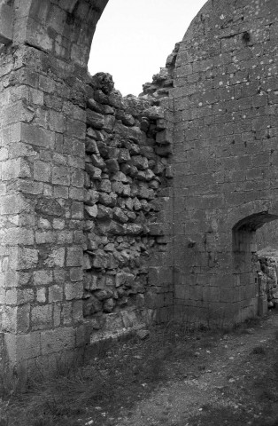 Aleyrac. - Le transept nord du prieuré Notre-Dame-la-Brune, ruiné en 1385.