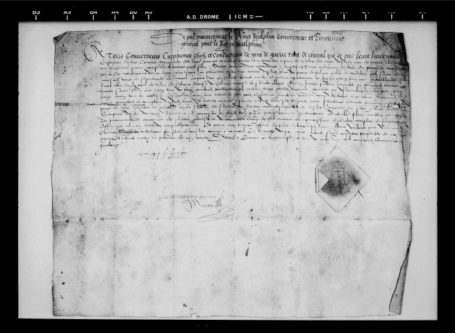 Sauvegarde par le Dauphin.