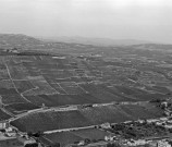 Vue aérienne du vignoble de l'Hermitage.