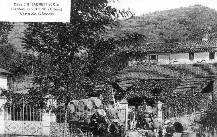 Carte publicitaire de la cave de M. Ladrey marchand de vin de côteau.