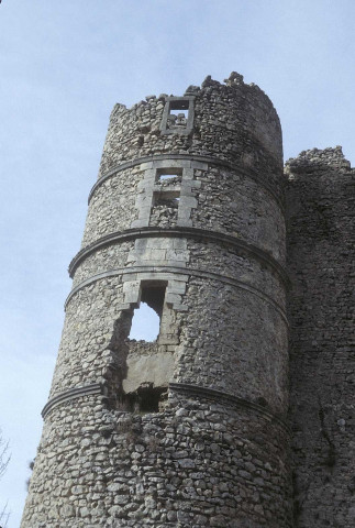 Montbrun-les-Bruns.- Le château.