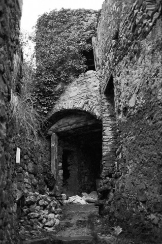 Pontaix.- Vue du vieux village.
